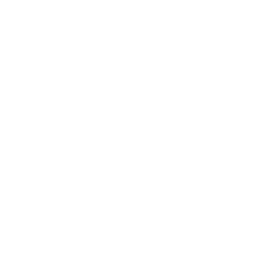 tik tok.webp